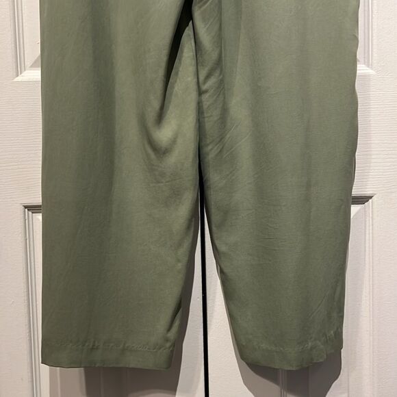 Frank & Oak Sage Green‎ Balloon Cut Button Fly Tencel Pants Size 12 NWT - Picture 9 of 14